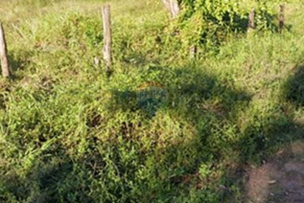 Terreno - Venda - Vila Velha , Espírito Santo - Screenshot_2025-08-04-15-55-25-163_com.google.android.apps.maps.jpg - 620101031-20