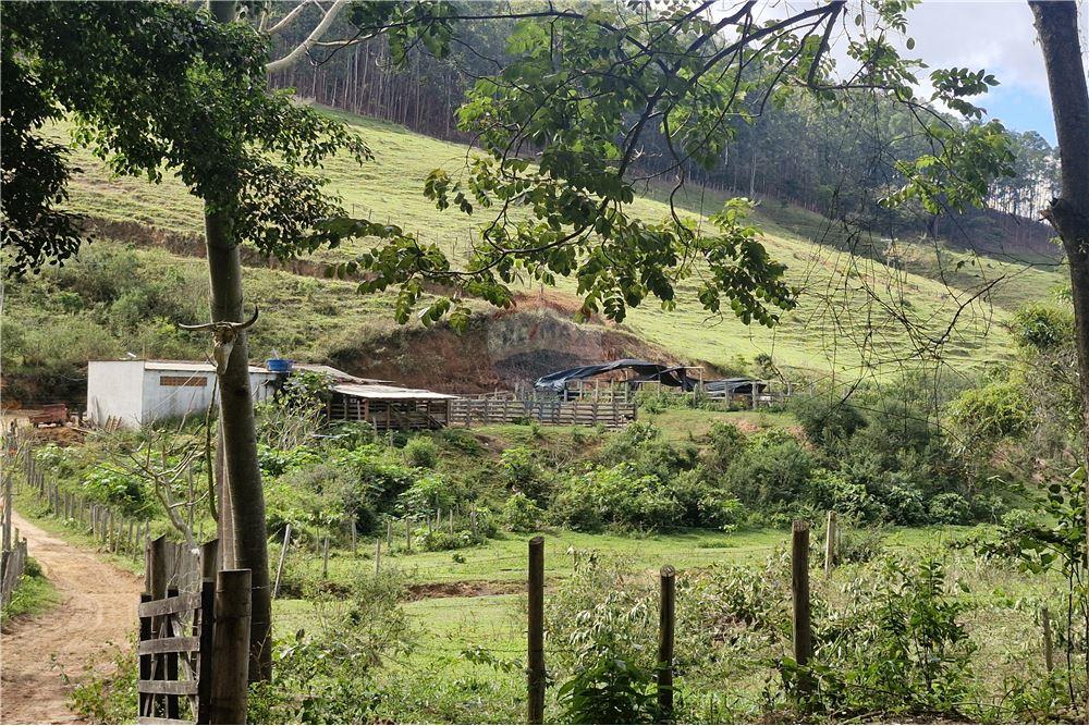 Fazenda - Venda - Aimorés , Minas Gerais - 18 - 620131043-13