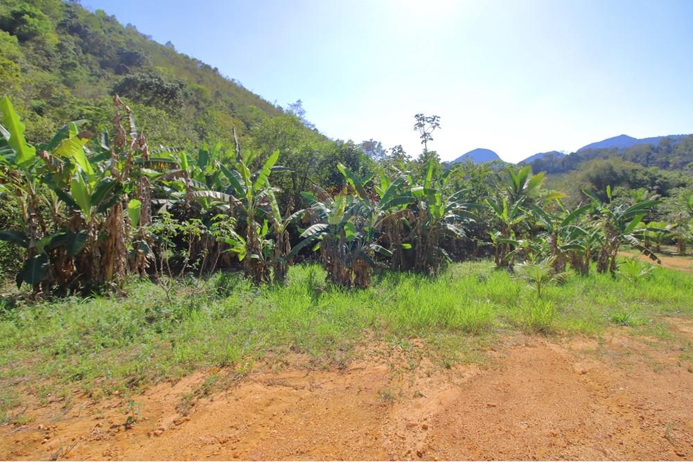 Chácara / Sítio / Fazenda - Venda - Santa Leopoldina , Espírito Santo - 12.JPG - 620171030-30