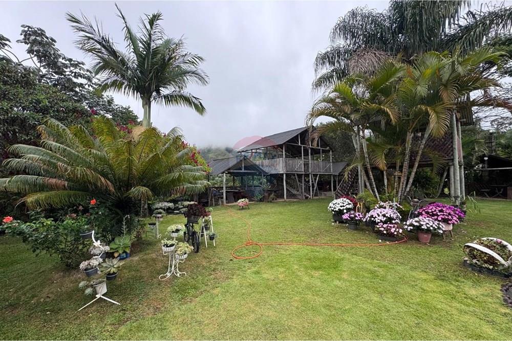 Chácara / Sítio / Fazenda - Venda - Ibitirama , Espírito Santo - WhatsApp Image 2026-03-23 at 07.45.49 (8).jpeg - 620251015-39