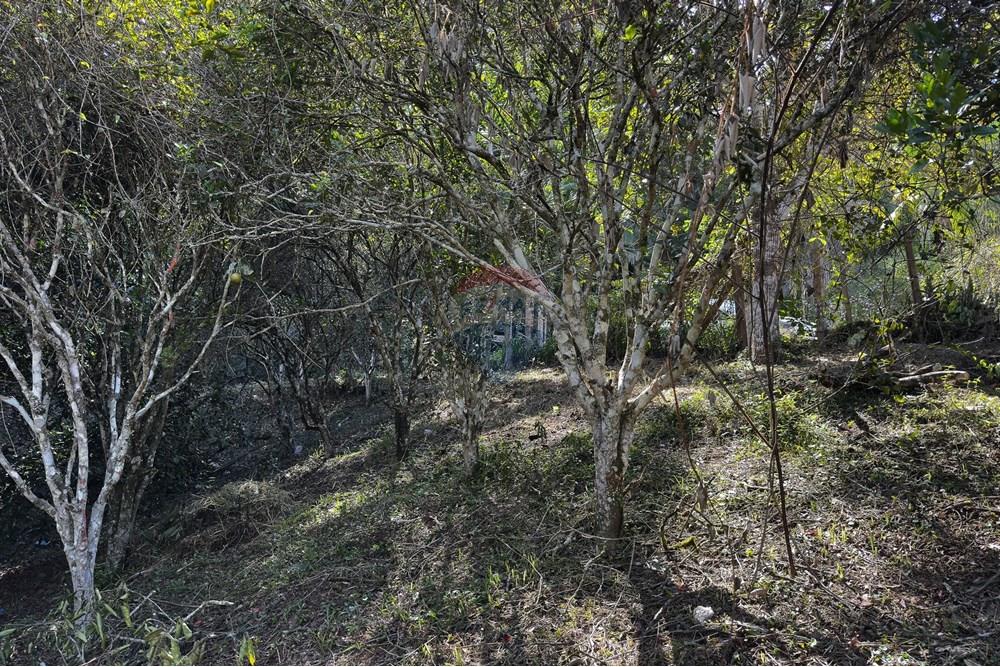 Terreno - Venda - Domingos Martins , Espírito Santo - 53-c-22.jpg - 620171046-22