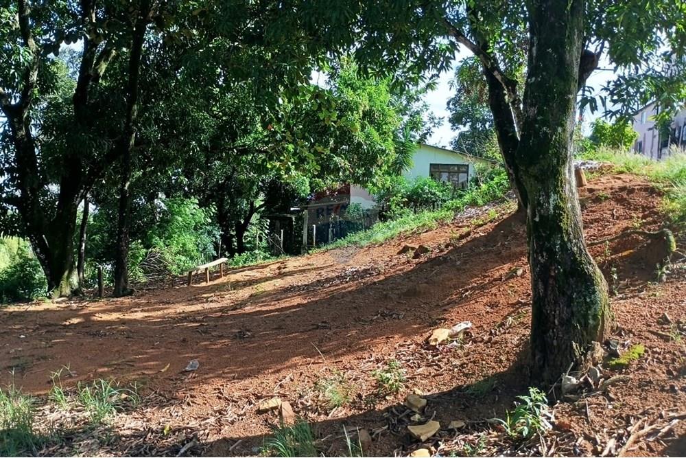 Terreno - Venda - Viana , Espírito Santo - 2e4550f1-bd64-45c7-b412-69f4c4ac0850.jpg - 620101040-8