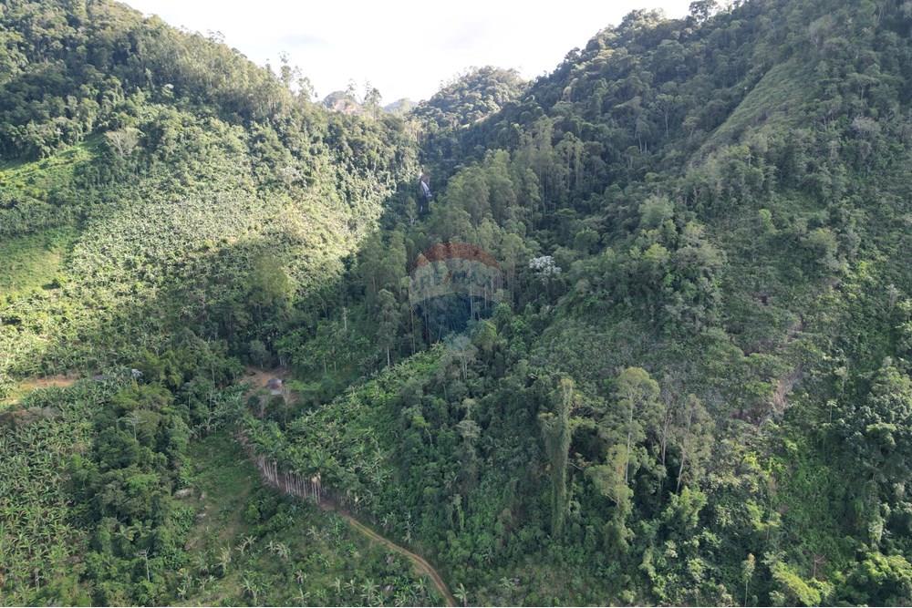 Chácara / Sítio / Fazenda - Venda - Iconha , Espírito Santo - DJI_0531.JPG - 620201020-13