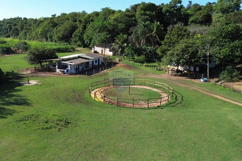 Chácara / Sítio / Fazenda - Venda - Vila Velha , Espírito Santo - WhatsApp Image 2025-07-31 at 15.31.24.jpeg - 620101031-18