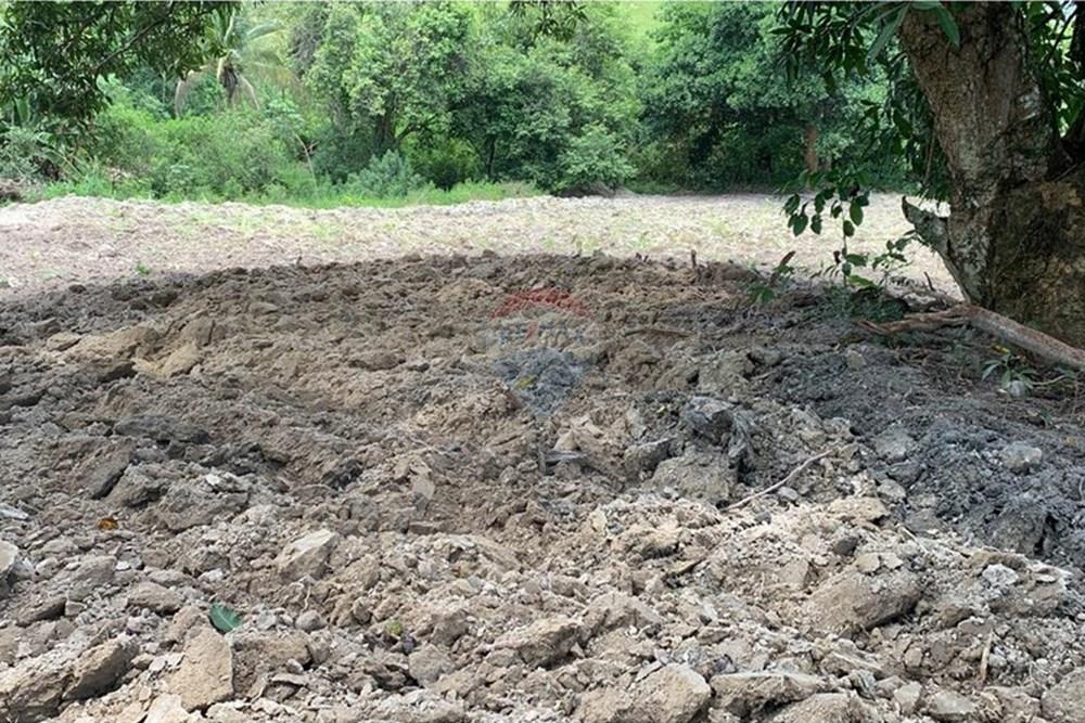 Chácara / Sítio / Fazenda - Venda - Anchieta , Espírito Santo - Imagem do WhatsApp de 2025-09-05 à(s) 16.04.08_c4343866.jpg - 620181007-57