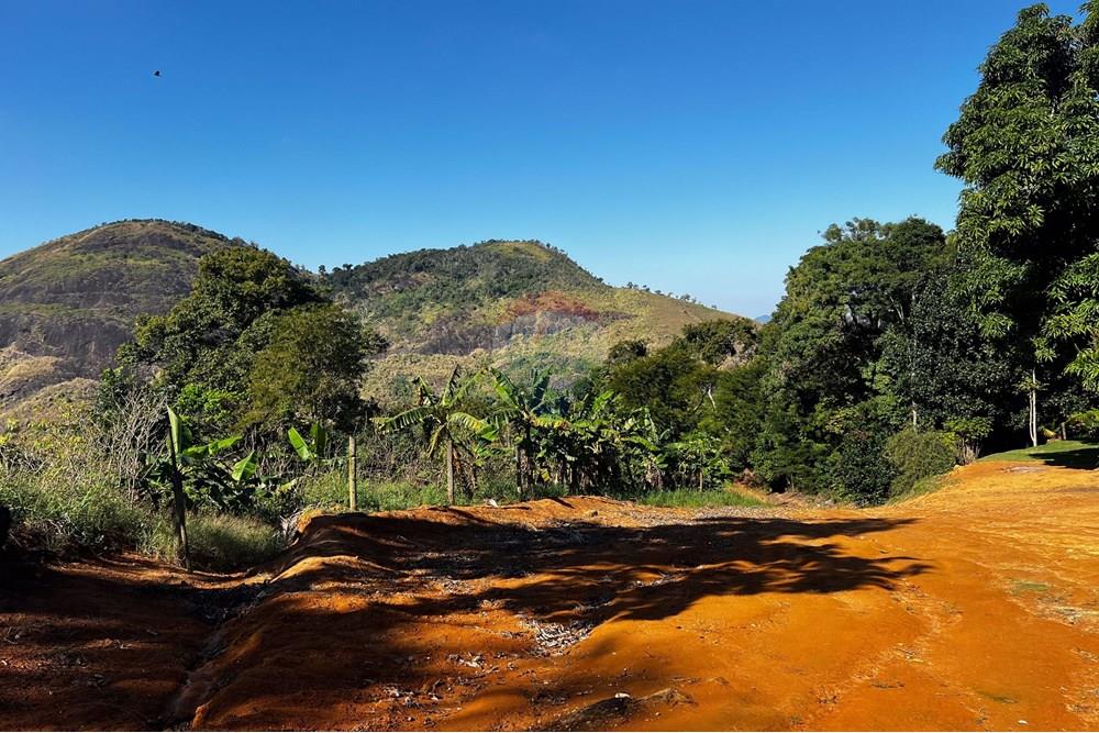 Chácara / Sítio / Fazenda - Venda - Viana , Espírito Santo - IMG_4727.jpg - 620101031-17