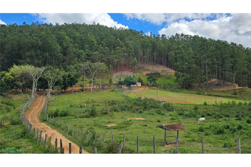 Fazenda - Venda - Aimorés , Minas Gerais - 3 - 620131043-13