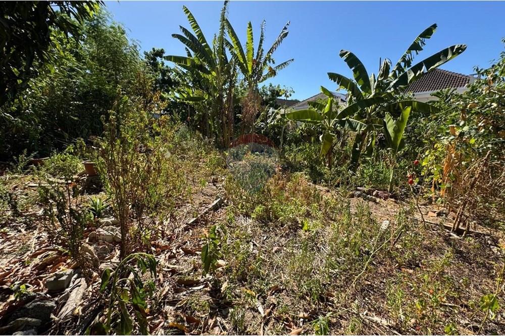 Terreno - Venda - Vitória , Espírito Santo - WhatsApp Image 2025-02-19 at 02.18.55.jpeg - 620131108-8