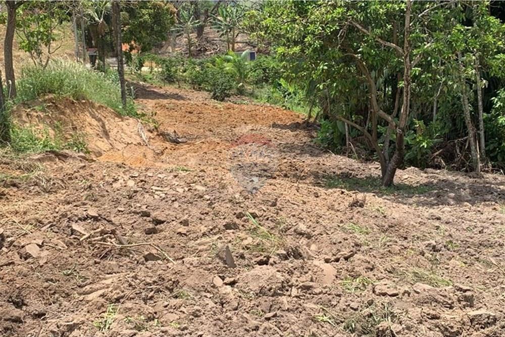 Chácara / Sítio / Fazenda - Venda - Anchieta , Espírito Santo - Imagem do WhatsApp de 2025-09-05 à(s) 16.04.08_8c5c80ae.jpg - 620181007-57