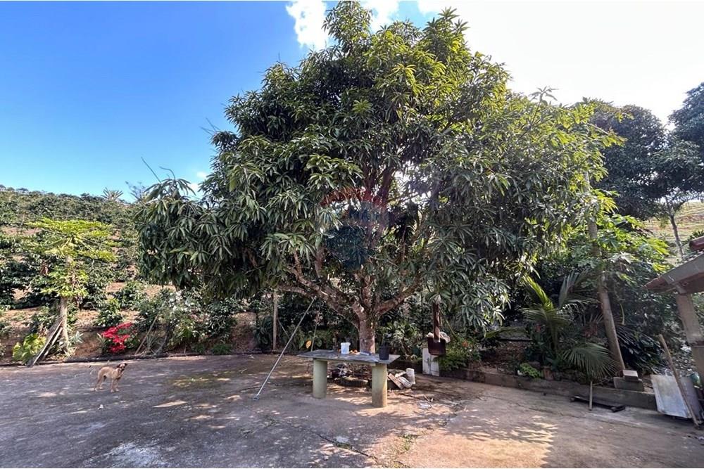 Chácara / Sítio / Fazenda - Venda - Guaçuí , Espírito Santo - WhatsApp Image 2025-09-22 at 10.16.34.jpeg - 620251015-18