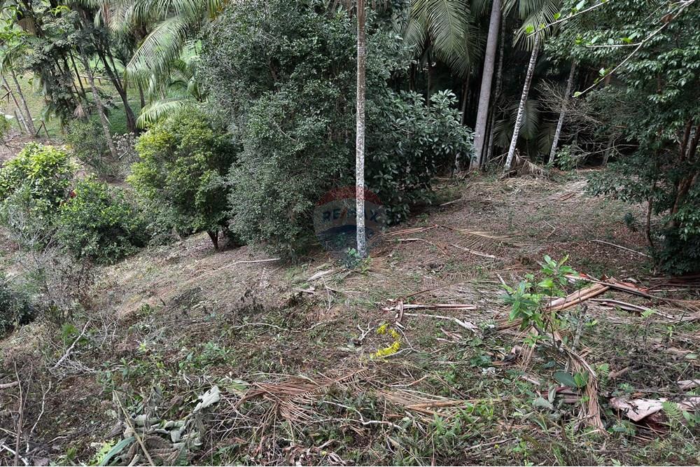 Terreno - Venda - Domingos Martins , Espírito Santo - 53-c-1.jpg - 620171046-22