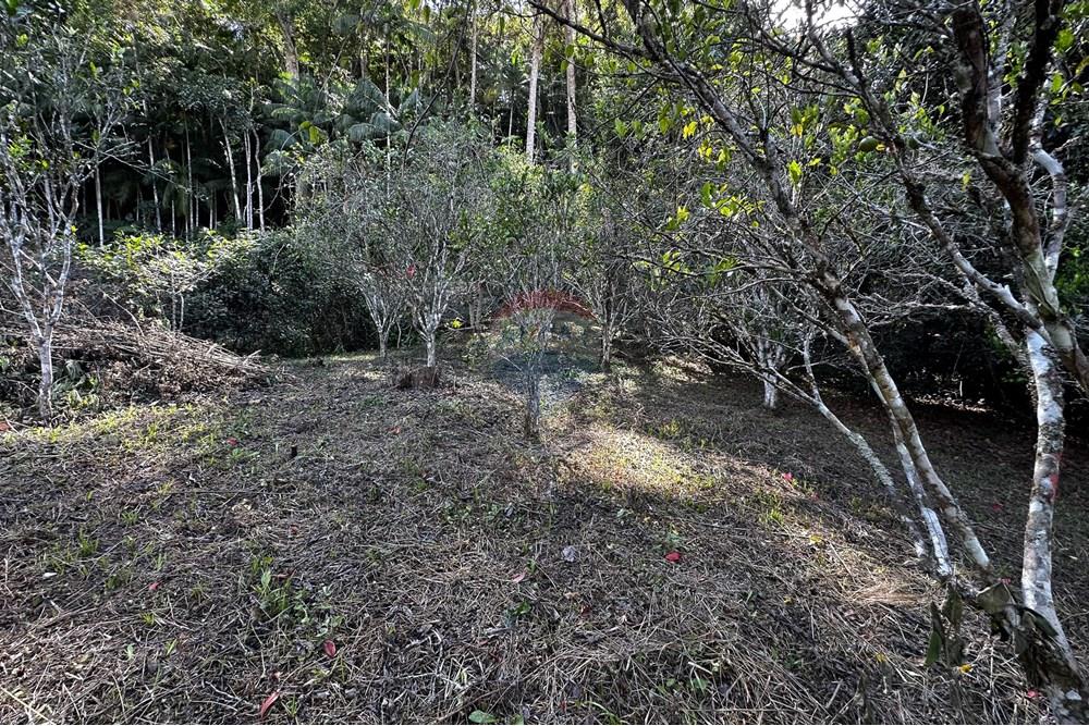 Terreno - Venda - Domingos Martins , Espírito Santo - 53-c-23.jpg - 620171046-22