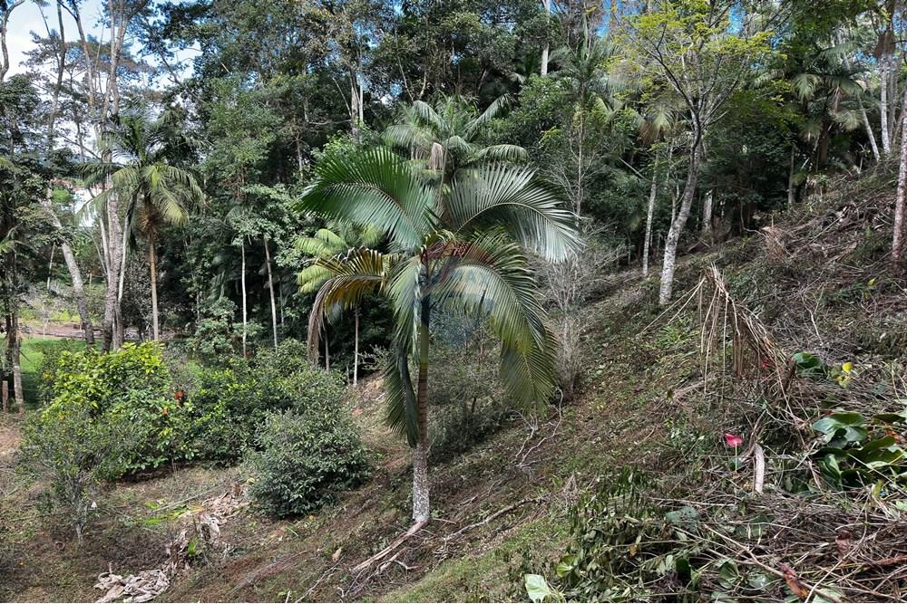 Terreno - Venda - Domingos Martins , Espírito Santo - 53-c-5.jpg - 620171046-22