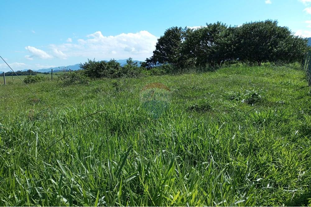 Terreno - Venda - Anchieta , Espírito Santo - IMG_20250520_125203.jpg - 620181007-45