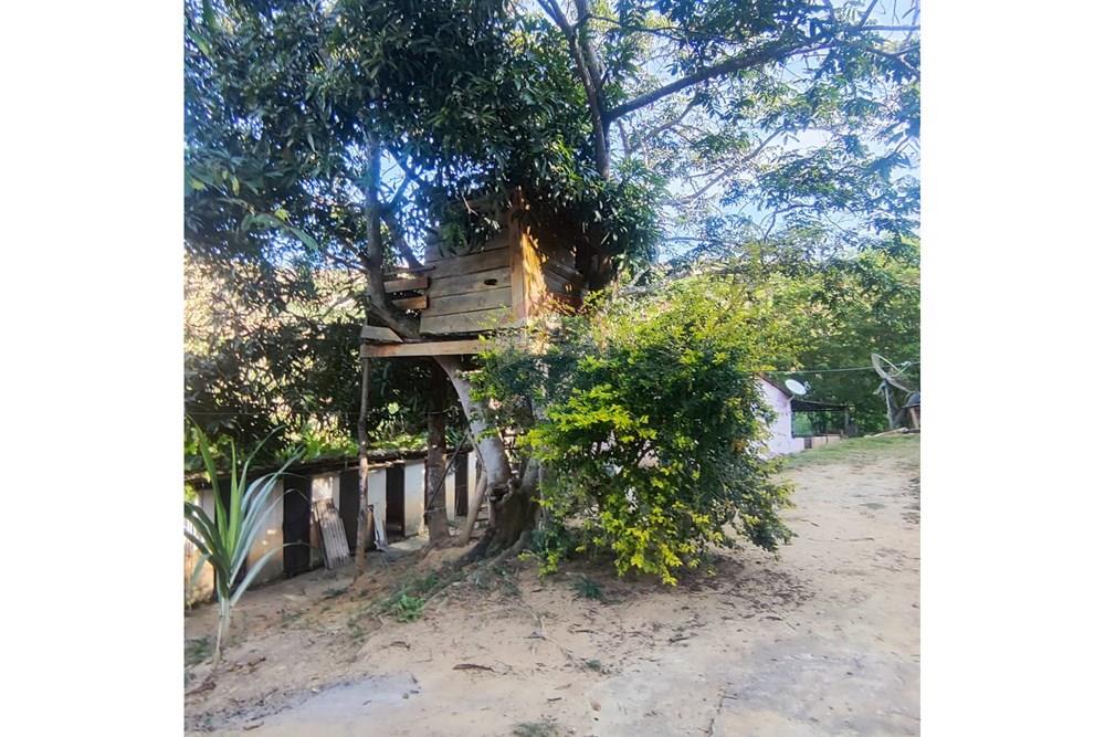 Chácara / Sítio / Fazenda - Venda - Guaçuí , Espírito Santo - WhatsApp Image 2026-04-07 at 16.50.54.jpeg - 620251022-19