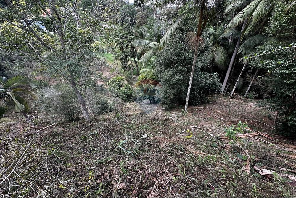 Terreno - Venda - Domingos Martins , Espírito Santo - 53-c-2.jpg - 620171046-22