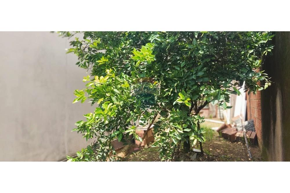 Casa - Venda - Guaçuí , Espírito Santo - WhatsApp Image 2026-02-18 at 14.33.22 (3).jpeg - 620251022-3