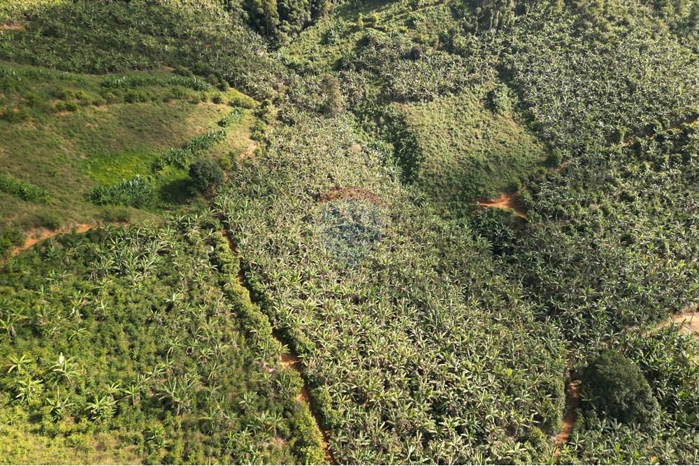 Chácara / Sítio / Fazenda - Venda - Iconha , Espírito Santo - DJI_0560.JPG - 620201020-13