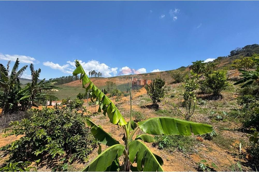 Chácara / Sítio / Fazenda - Venda - Guaçuí , Espírito Santo - WhatsApp Image 2025-09-30 at 12.17.43 (1).jpeg - 620251015-1