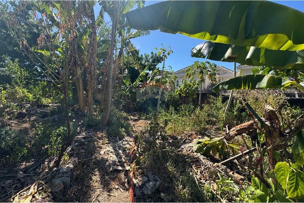 Terreno - Venda - Vitória , Espírito Santo - WhatsApp Image 2025-02-19 at 02.18.57.jpeg - 620131108-8