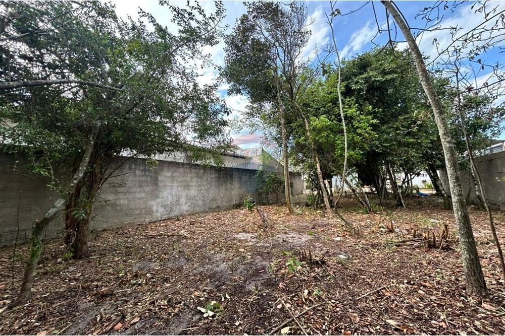 Terreno - Venda - Anchieta , Espírito Santo - WhatsApp Image 2025-11-18 at 16.08.03.jpeg - 620181007-55