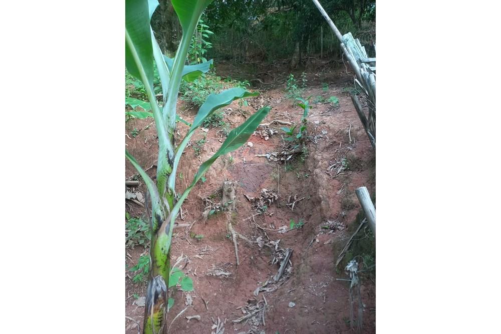 Casa - Venda - Guaçuí , Espírito Santo - WhatsApp Image 2026-03-31 at 12.33.52 (1).jpeg - 620251022-18