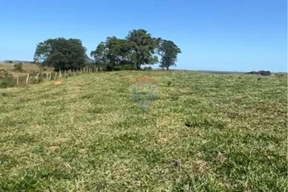 Fazenda - Venda - Anchieta , Espírito Santo - WhatsApp Image 2025-11-04 at 22.31.51.jpeg - 620201024-3