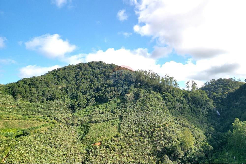 Chácara / Sítio / Fazenda - Venda - Iconha , Espírito Santo - DJI_0514.JPG - 620201020-13