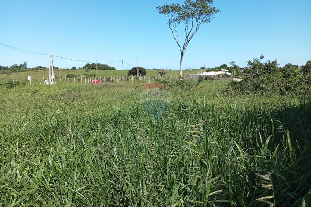 Terreno - Venda - Anchieta , Espírito Santo - IMG_20250520_125235.jpg - 620181007-45