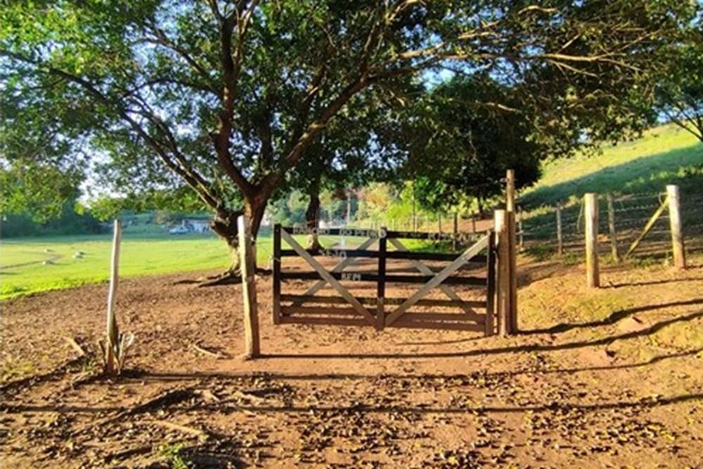 Chácara / Sítio / Fazenda - Venda - Vila Velha , Espírito Santo - IMG_20250608_162849.jpg - 620101031-18