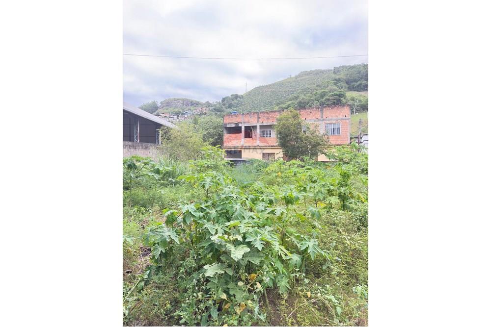 Terreno - Venda - Rio Novo do Sul , Espírito Santo - WhatsApp Image 2025-11-28 at 15.38.47.jpeg - 620291001-2