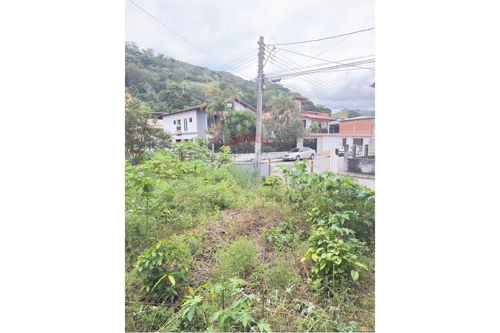 Terreno - Venda - Rio Novo do Sul , Espírito Santo - WhatsApp Image 2025-11-28 at 15.38.44 (1).jpeg - 620291001-1