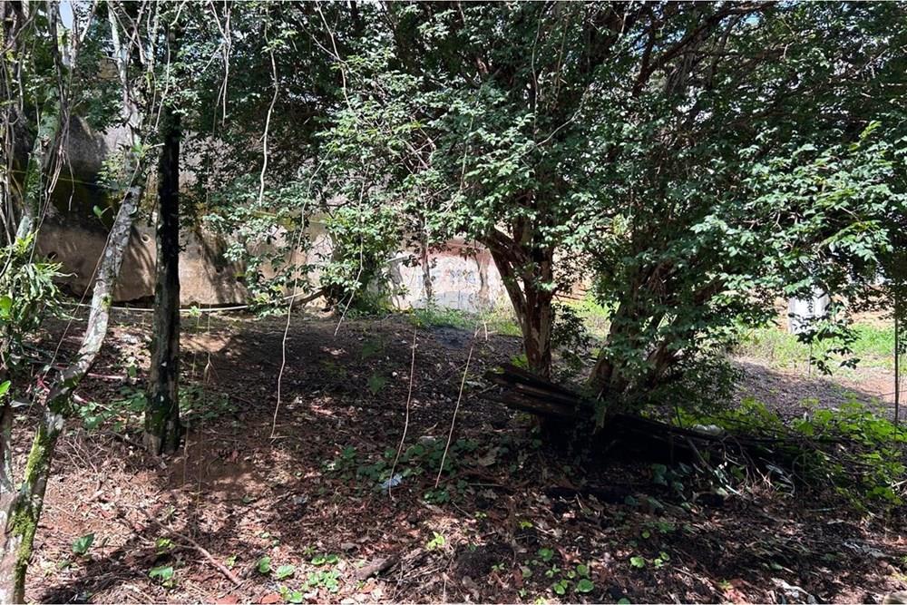 Terreno - Venda - São José do Calçado , Espírito Santo - WhatsApp Image 2026-03-03 at 11.12.54 (2).jpeg - 620251017-10