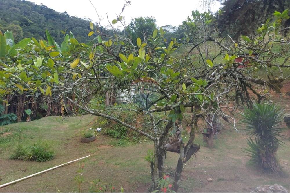 Chácara / Sítio / Fazenda - Venda - Vargem Alta , Espírito Santo - WhatsApp Image 2025-10-21 at 14.34.34 (8).jpeg - 620171077-6