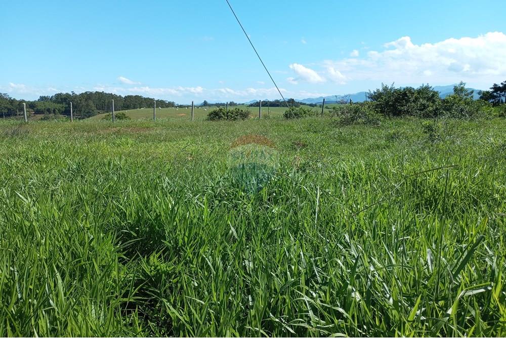Terreno - Venda - Anchieta , Espírito Santo - IMG_20250520_125159.jpg - 620181007-45