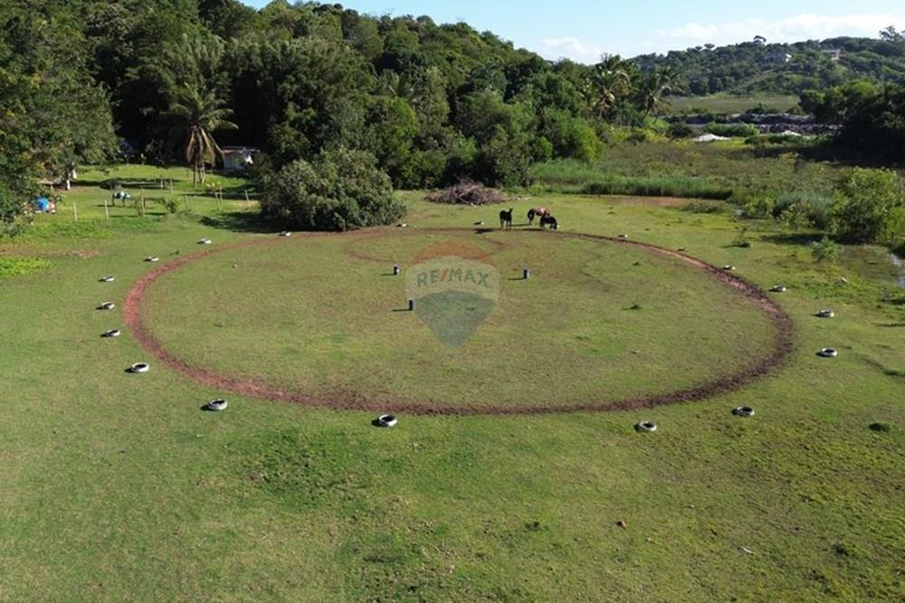 Chácara / Sítio / Fazenda - Venda - Vila Velha , Espírito Santo - WhatsApp Image 2025-07-31 at 15.31.32 (1).jpeg - 620101031-18