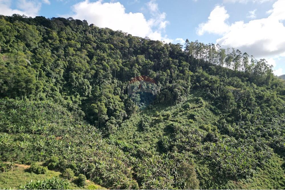 Chácara / Sítio / Fazenda - Venda - Iconha , Espírito Santo - DJI_0564.JPG - 620201020-13