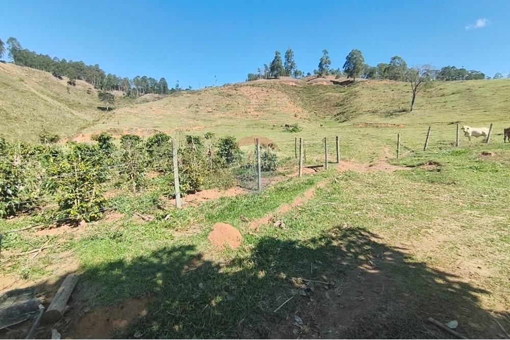 Chácara / Sítio / Fazenda - Venda - Guaçuí , Espírito Santo - WhatsApp Image 2025-07-08 at 15.31.24 (1).jpeg - 620251001-23