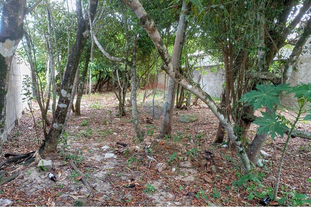 Terreno - Venda - Anchieta , Espírito Santo - 1764959678653.jpg - 620181007-55