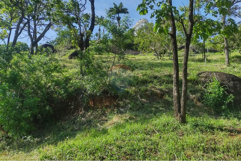 Terreno - Venda - Vitória , Espírito Santo - WhatsApp Image 2025-02-07 at 09.46.21 (4).jpeg - 620131020-19