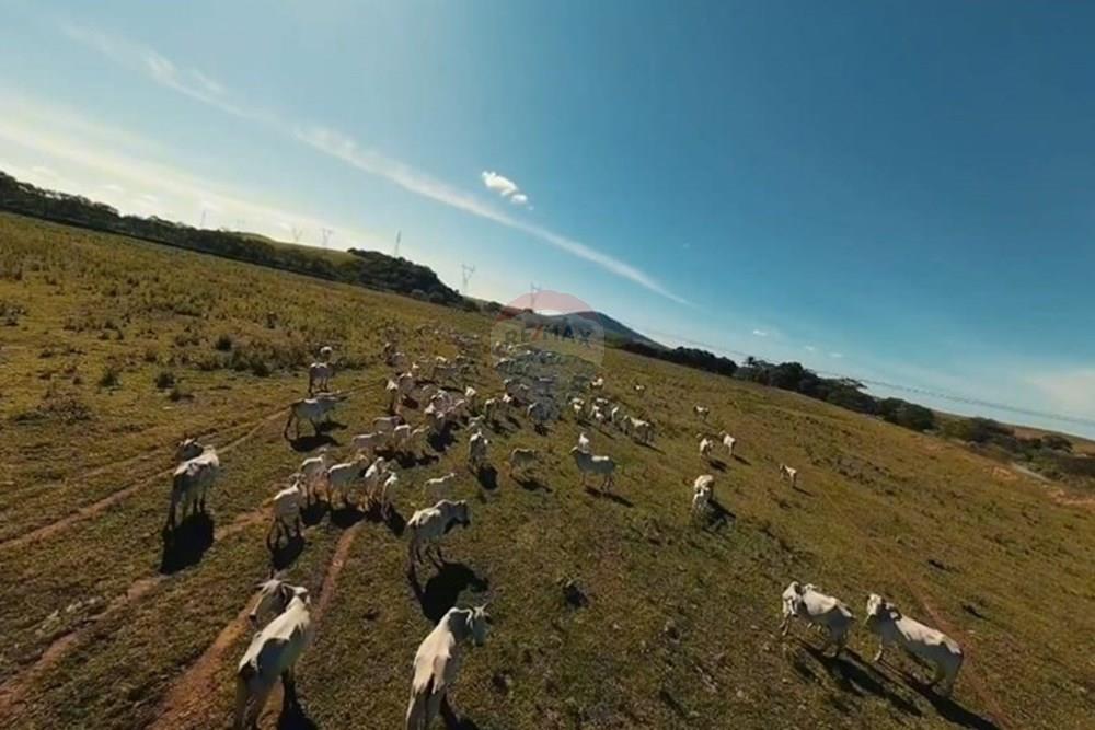 Fazenda - Venda - Anchieta , Espírito Santo - WhatsApp Image 2025-11-04 at 22.45.30 (1).jpeg - 620201024-3