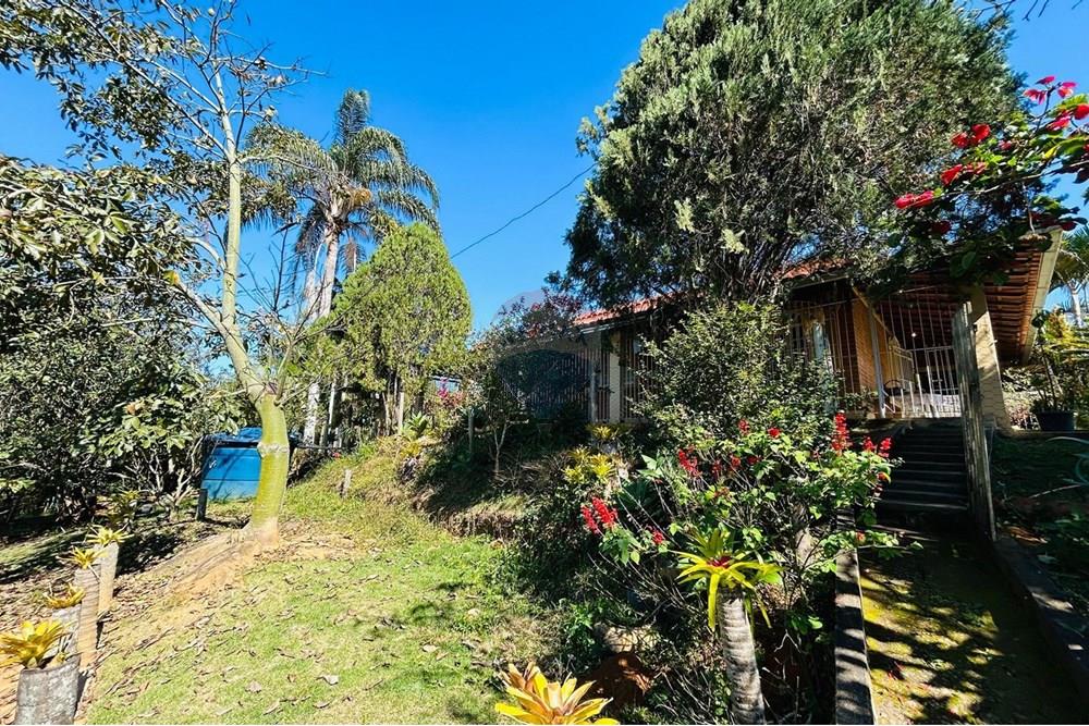 Chácara / Sítio / Fazenda - Venda - Guaçuí , Espírito Santo - WhatsApp Image 2025-07-23 at 14.15.07.jpeg - 620251001-14