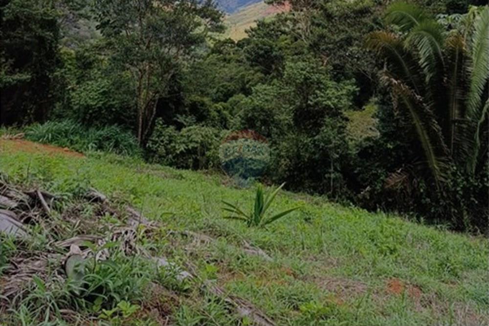 Chácara / Sítio / Fazenda - Venda - Santa Teresa , Espírito Santo - IMG_20251112_101953.jpg - 620171030-37