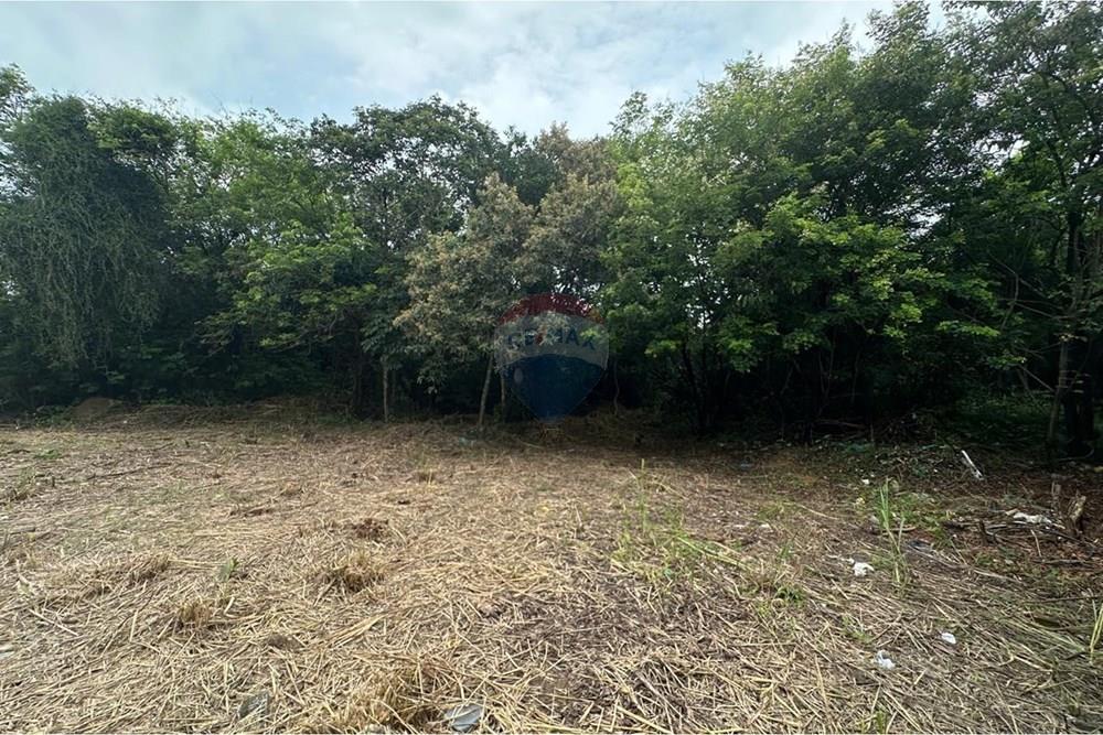 Terreno - Venda - Vila Velha , Espírito Santo - WhatsAapp Image 2026-03-03 at 16.25.29.jpeg - 620231017-4