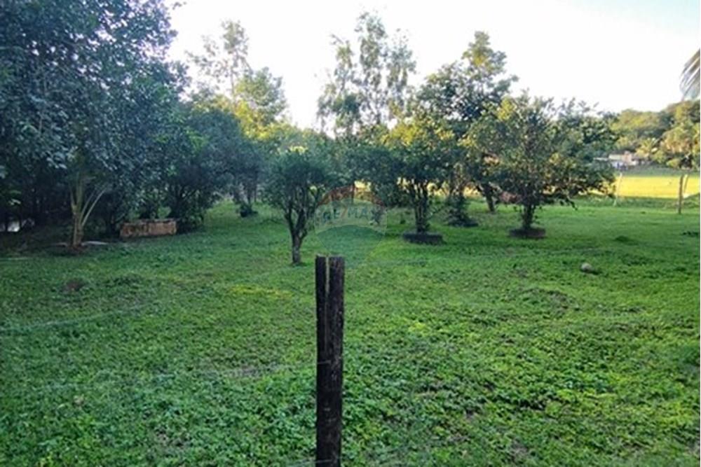 Chácara / Sítio / Fazenda - Venda - Vila Velha , Espírito Santo - IMG_20250608_163219.jpg - 620101031-18