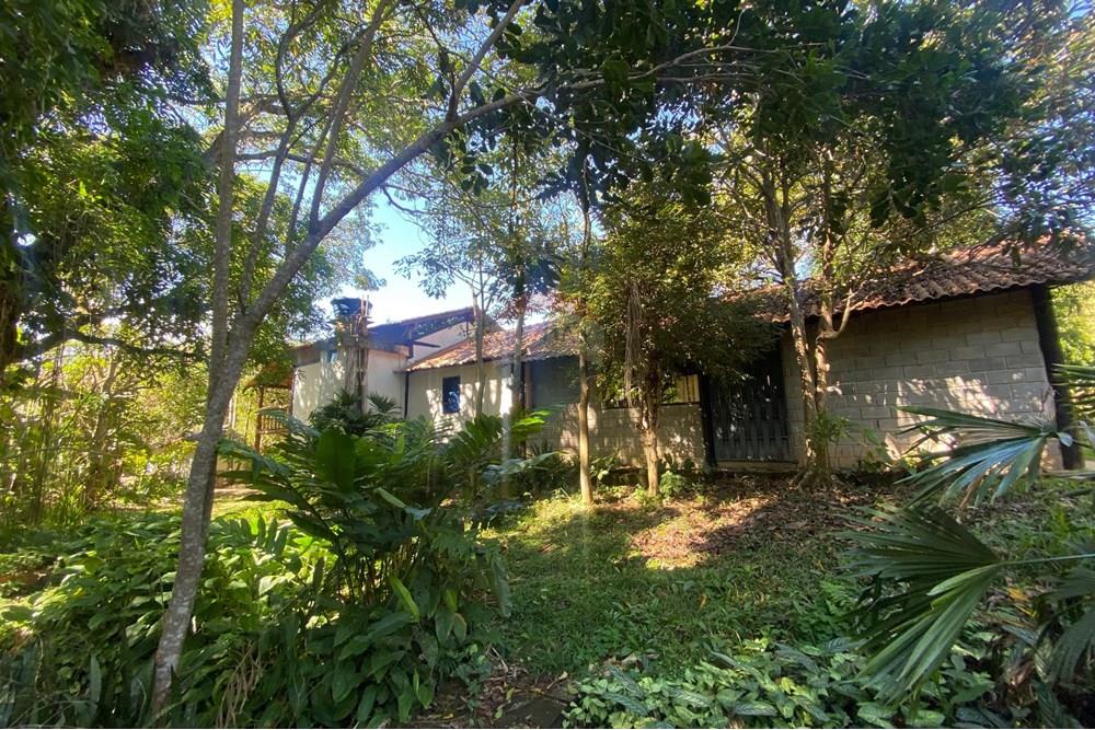 Chácara / Sítio / Fazenda - Venda - Guaçuí , Espírito Santo - WhatsApp Image 2025-07-08 at 16.05.32.jpeg - 620251001-23