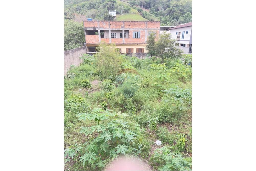 Terreno - Venda - Rio Novo do Sul , Espírito Santo - WhatsApp Image 2025-11-28 at 15.38.46.jpeg - 620291001-2