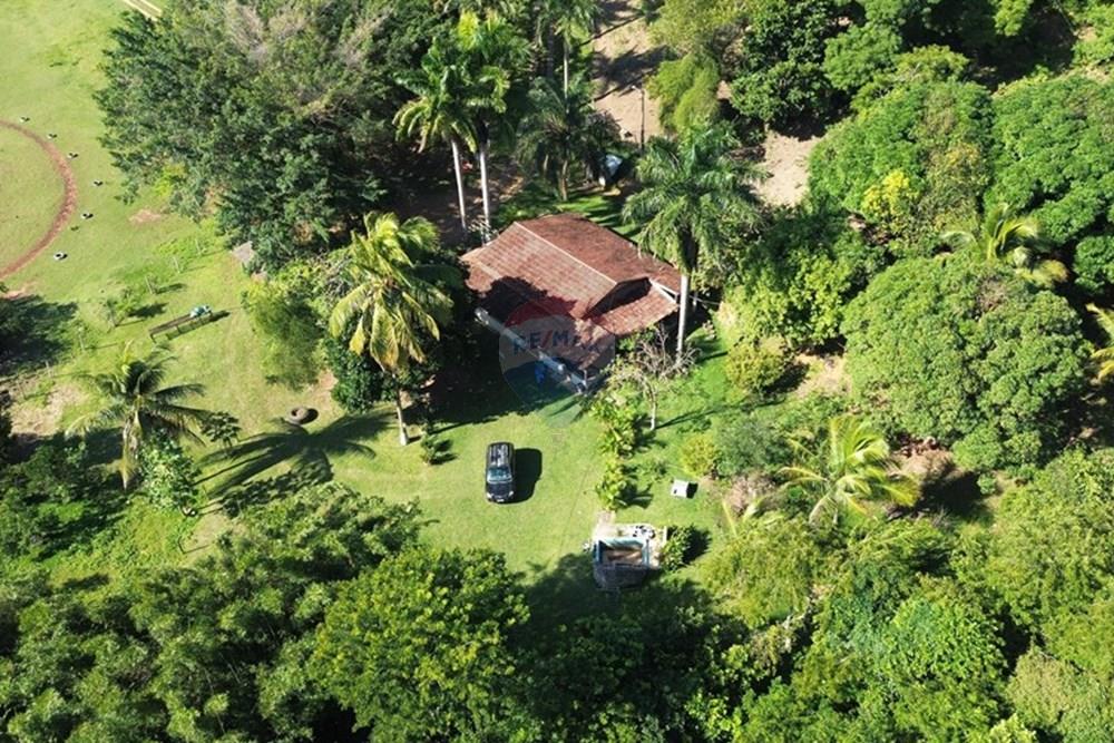 Chácara / Sítio / Fazenda - Venda - Vila Velha , Espírito Santo - WhatsApp Image 2025-07-31 at 15.31.20.jpeg - 620101031-18