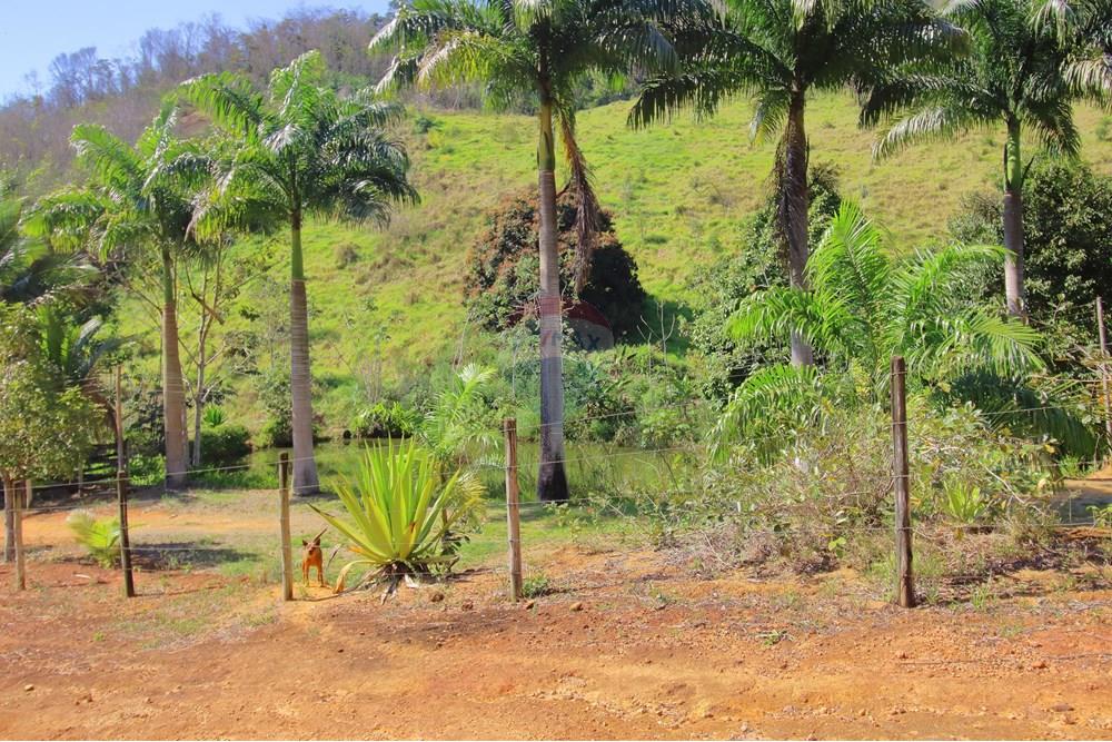 Chácara / Sítio / Fazenda - Venda - Santa Leopoldina , Espírito Santo - 13.JPG - 620171030-30