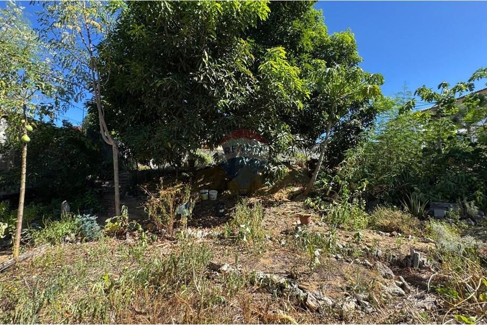 Terreno - Venda - Vitória , Espírito Santo - WhatsApp Image 2025-02-19 at 02.18.56 (2).jpeg - 620131108-8